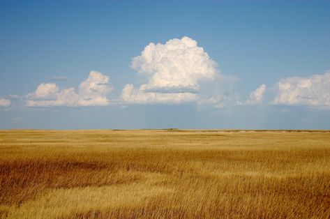 Painting the Prairie | EMILIE LEE Rio Grande, Landscape Photography, Country Rap, Cumulus Clouds, Badlands National Park, Sustainable Agriculture, Open Field, The Sky, Beautiful Places