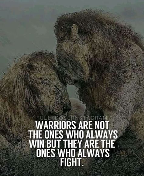 "Warriors Are Not The Ones Who Always Win But They Are The Ones Who Always Fight." - Unkown - [15002000] #quote #quotes #motivation #motivational Brilliant Quote, Grant Cardone, Motivational Quotes In Hindi, Warrior Quotes, Insightful Quotes, Tony Robbins, New Quotes, Sales And Marketing, Brown Bear