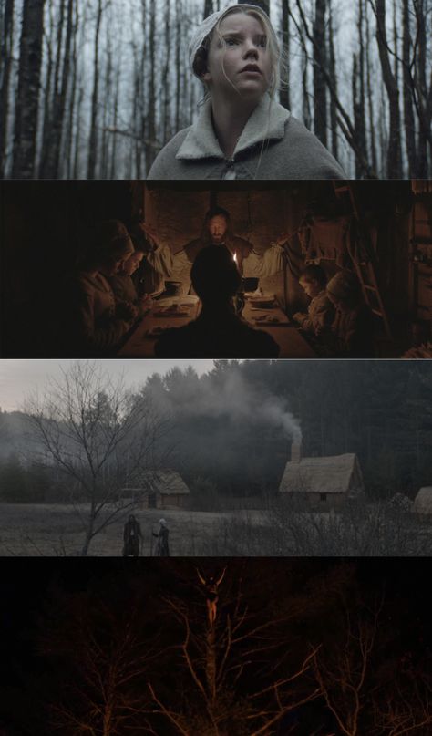 Witch (2016), d. Robert Eggers, d.p. Jarin Blaschke The Witch 2015, The Witch Movie, Film Composition, Robert Eggers, Cinematography Composition, Movie Color Palette, Beautiful Cinematography, Filmmaking Cinematography, Best Cinematography