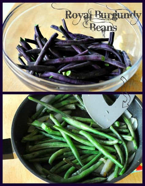 These royal burgundy beans start as purple and turn green the as the cook. Purple Green Beans Recipe, Purple Beans, Csa Recipes, Sous Vide Recipes, Sous Vide Cooking, Beans Recipe, Green Bean Recipes, Garden Recipes, Oven Recipes