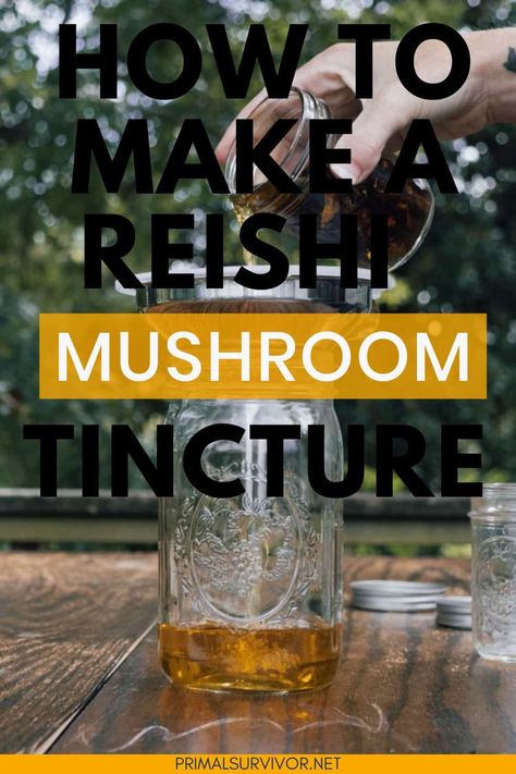 Read on to learn how to make a reishi mushroom tincture the right way, plus discover alternative methods to craft a custom elixir for your mycological apothecary. Mushroom Tincture, Reishi Mushrooms, Reishi Mushroom, Functional Medicine, Grow Your Own Food, Apothecary, Medicine, Stuffed Mushrooms, Herbs