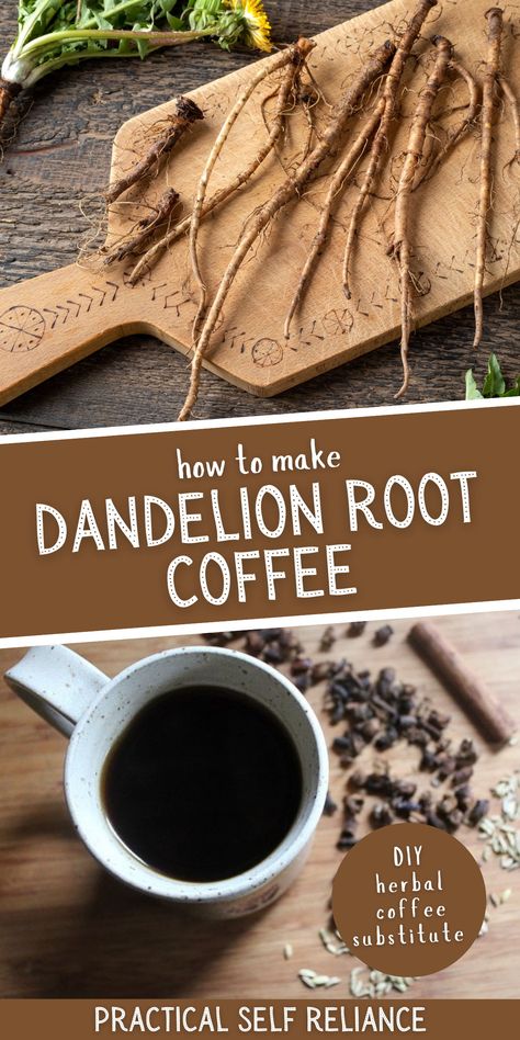 Roasting Dandelion Root, How To Roast Dandelion Root, Nature, Essen, Dandelion Uses And Benefits, Diy Dandelion Tea, Dandelion Root Coffee Recipe, Dandelion Recipes Tea, Dandelion Root Tea Recipe