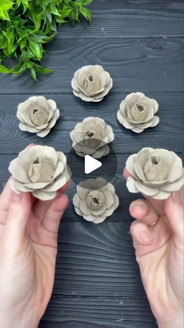 Egg Carton Roses, Crafts With Egg Trays, Egg Box Craft Ideas, Eggboxes Craft, Egg Trays Craft Ideas, Egg Tray Craft Diy, Egg Tray Diy, Diy Egg Tray, Egg Tray Craft