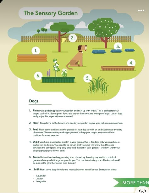 Garden For Dogs, Dog Garden Ideas, Dog Sensory, Backyard Dog Area, Dog Friendly Garden, Dog Friendly Backyard, Dog Backyard, Dog Yard, Dog Playground