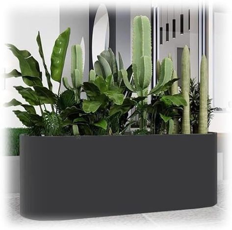 Amazon.com : GZHERVICES Rectangular Self Watering Flower Bed, Commercial Square Partition Flower Pot Trough Modern Decorative Planter for All House Plants Flowers Herbs (Color : Black, Size : 80x30x50cm) : Patio, Lawn & Garden Planter Partition, Rectangular Planters Indoor, Large Rectangular Planters, Black Metal Planter Boxes, Rectangular Flower Pot, Snake Plant Rectangular Planter, Outdoor Flower Boxes, Office Flowers, Outdoor Flowers