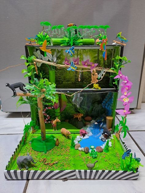 Diy Rainforest Projects, 3d Rainforest Project, Rainforest Model Projects, Animal Ecosystem Project, Shoebox Diarama Ideas, 3d Ecosystem Project, Rainforest Crafts Kindergarten, Rainforest Habitat Diorama, Rainforest Ecosystem Project Ideas