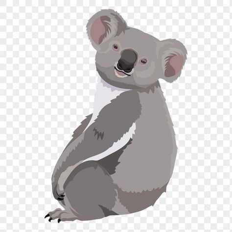 Sticker Transparent Background, Australia Koala, Animal Aesthetic, Bear Png, Aesthetic Png, Graphic Design Photo, Sticker Transparent, Png Aesthetic, All About Animals