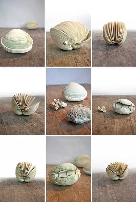 Book Sculpture, Beach Crafts, Miniature Books, Seashell Crafts, Clam Shell, Handmade Books, Diy Book, Shell Crafts, Kirigami