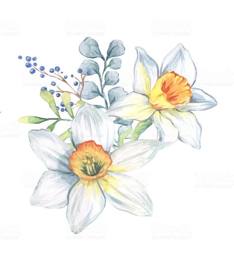 Narcissus Flower Tattoo, Narcissus Flower Tattoos, Daffodil Tattoo, Tattoo Watercolor, Narcissus Flower, Flower And Leaves, Birth Flower Tattoos, Flower Art Drawing, Flower Art Images