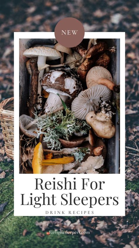 Reishi mushroom tea is a centuries-old remedy for insomnia that is making a comeback in as a natural sleep aid.

#Sleep #HealthyLifeStyle Tea For Menstrual Cramps, Reishi Mushroom Tea, Natural Cough Syrup, Reishi Mushrooms, Natural Sleep Aid, Get Enough Sleep, Mushroom Tea, Natural Sleep Aids, Reishi Mushroom