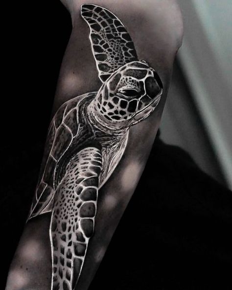 Florida Tattoos, Realistic Tattoo Sleeve, Realistic Tattoo, Eagle Tattoo, Turtle Art, Tattoo Sleeve, Animal Tattoos, Polynesian Tattoo, Sleeve Tattoos