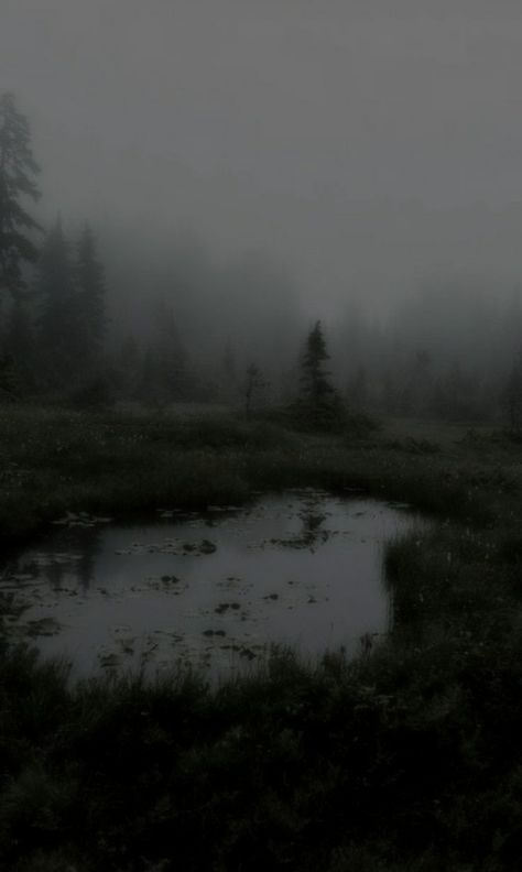 Dark Foggy Forest Aesthetic, Gloomy Foggy Aesthetic, Dark Gloomy Aesthetic Wallpaper, Gloomy Dark Aesthetic, Dark And Gloomy Aesthetic, Gray Nature Aesthetic, Danicacore Aesthetic, Brain Rot Aesthetic, Dark Naturalistic Aesthetic