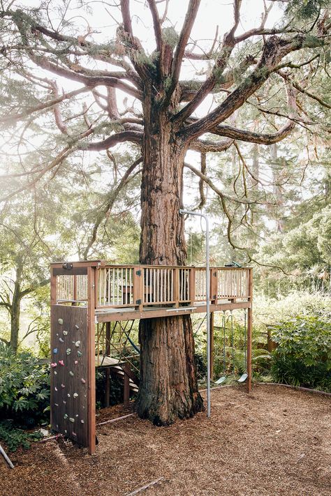 Playground Landscaping, Garden Playhouse, Tree House Plans, Tree House Diy, Tree House Kids, Outdoor Play Areas, Diy Playground, Cool Tree Houses, Tree House Designs