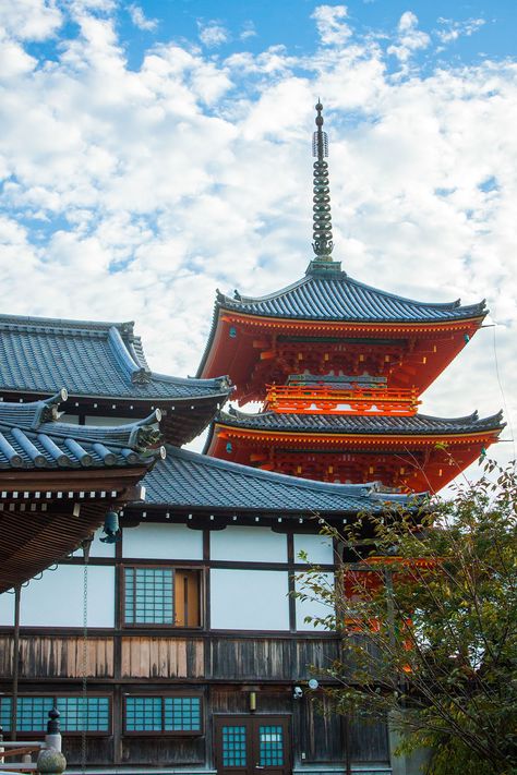 Discovering the Secrets of Kiyomizu-dera Temple, A Guide to Kyoto - The Creative Adventurer Kyoto Temple, Kiyomizu-dera Temple, Traditional Japanese Architecture, Stone Lion, Kiyomizu Dera, Kyoto Japan, Green Trees, A Sea, World Heritage Sites