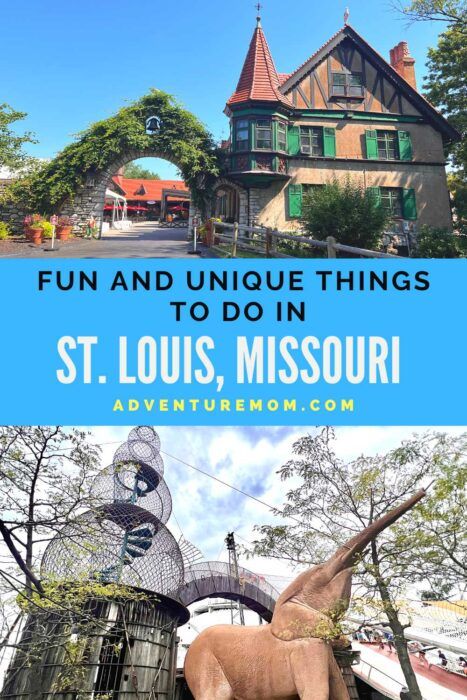 Your guide to the top hidden gems, the best attractions and fun things to do in St. Louis, Missouri for an amazing visit. What To Do In St Louis Missouri, Things To Do In St Louis Missouri, St. Louis, Missouri Vacation, Interesting Architecture, Best City, Family Tour, Architecture History, Sports Game