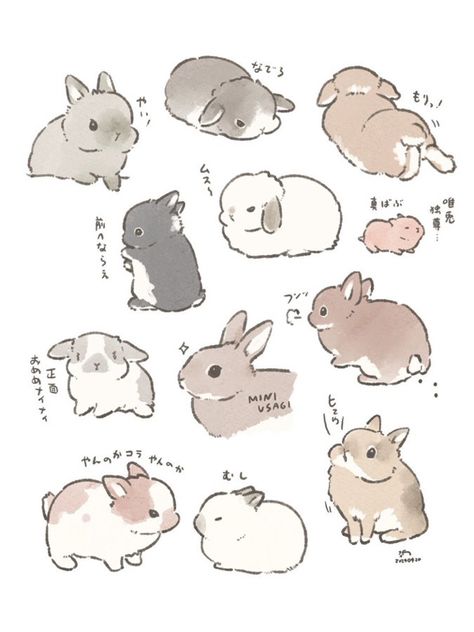 Rabbit Drawings Cute, White Bunny Illustration, Bunnies Reference, Types Of Bunny Breeds, Funny Bunny Drawing, Bunny Eating Strawberry Drawing, Lop Bunny Aesthetic, Fluffy Bunny Drawing, Chibi Animal Poses