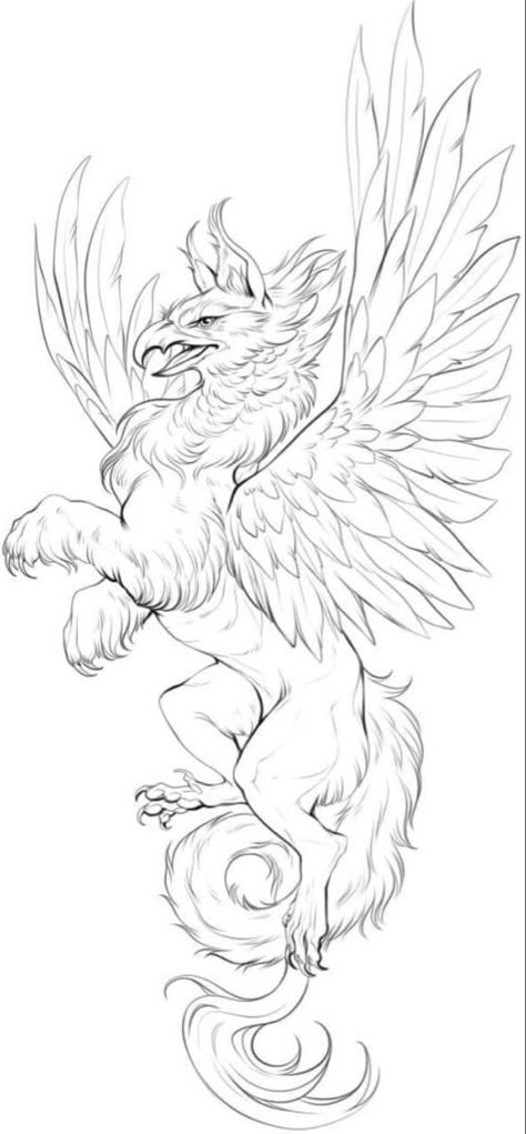 Mythology Animal Tattoos, Greek Mythical Creatures Art, Griffon Tattoo Design, Griffin Sketch Tattoo, Sketch Mythical Creatures, Mythology Creatures Drawings, Griffin Drawing Sketches, Griffin Line Art, Griffin Creature Design