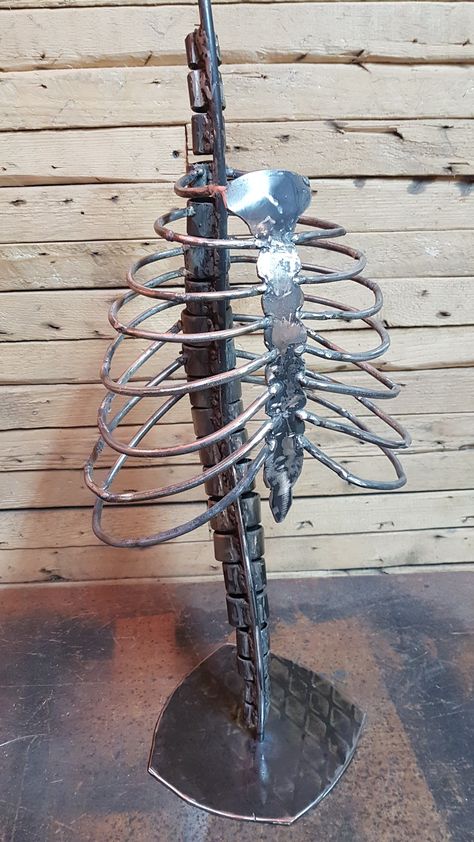 Metal Skeleton Art, Skeleton Metal Art, Welded Skeleton, Ribcage Sculpture, Rib Sculpture, Ribs Sculpture, Rib Cage Sculpture, Spine Reference, Spine Sculpture