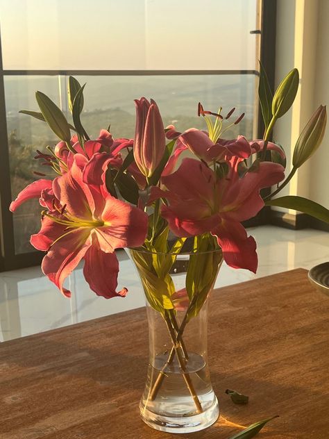 Glass, Pink, Flowers, Pink Flowers, Vase