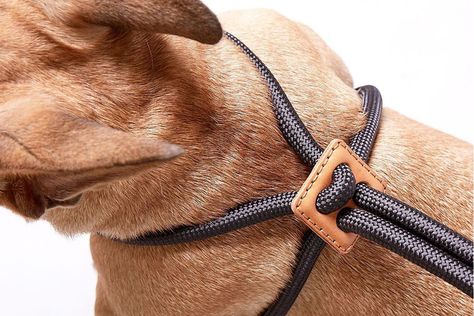 A luxurious range of handmade pet accessories that fuses functionality with style! – Yanko Design Dog Belt Design, Diy Dog Harness, Dog Belt, Handmade Dog Accessories, Diy Dog Collar, Handmade Pet, Dog Collars & Leashes, Leather Projects, Chic Accessories