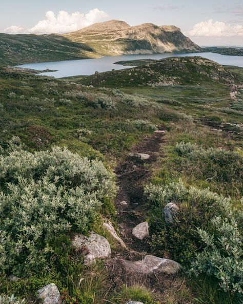 Guide to hiking Gaustatoppen in Telemark, Norway - How to see one-sixth of mainland Norway from Telemark’s highest mountain + Best Tips & Routes to the Top. #mountain #norway #scandinavia Mounteneering Hiking, Nepal Hiking, Telemark Norway, Trolltunga Norway Hiking, Beginner Poses, Norway Travel Guide, Stetind Norway, Trollstigen Norway, Hiking Routes