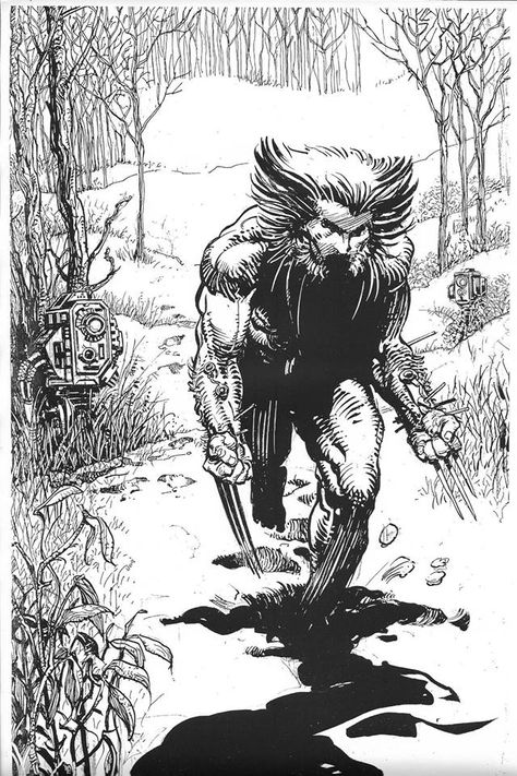 Barry Windsor Smith, Wolverine Artwork, Wolverine Comic, Windsor Smith, Pre Raphaelite, Fantasy Paintings, Black And White Drawing, Comic Books Art, Windsor