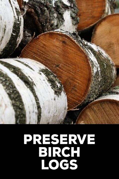 How to Preserve Birch Logs Birch Wood Crafts Diy Projects, Birch Logs Fireplace Decor, Diy Birch Logs, White Birch Logs Decor, Birch Logs Christmas Decor, Birch Log Decor Diy Projects, Birch Branch Ideas, Birch Log Decor, Birch Tree Crafts