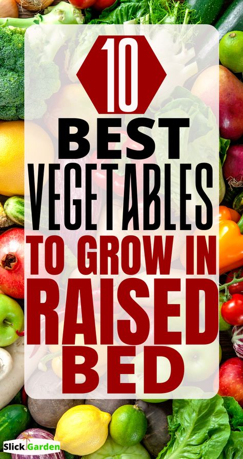 Vegetables To Grow In Raised Beds, Best Vegetables For Raised Garden Beds, Vegetables For Garden, Best Veggies To Plant In Raised Beds, Best Vegetable To Grow In Raised Beds, Easy To Grow Vegetables Raised Beds, What To Plant In Raised Garden Beds Vegetables, How To Plant Raised Garden Beds, Planting In Raised Garden Beds