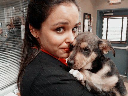 best of b99 (@ninenineposts) | Twitter Santiago, Melissa Fumero, Amy Santiago, Brooklyn 99, Pinstripe Suit, Sport Video, Brooklyn Nine Nine, Pinterest Hashtags, Brooklyn