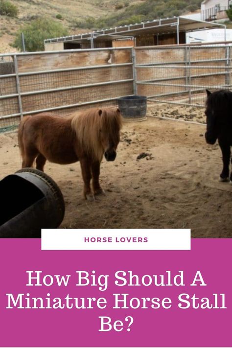 Diy Mini Horse Stalls, Mini Horse Stall Ideas, Pony Stall Ideas, Mini Horse Stall, Horse Stalls Cheap, Easy Horse Stalls, Horse Stall Ideas, Miniature Horse Driving, Small Horse Barn Plans