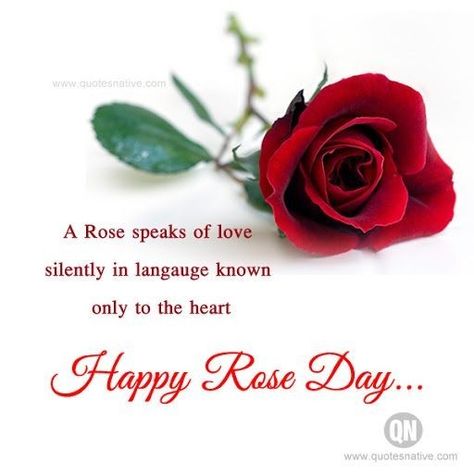 Alu Arjun, Happy Rose Day Quotes, Happy Rose Day Wallpaper, Fcb Wallpapers, Valentine's Quotes, Rose Day Wallpaper, Rose Day Quotes, Happy Valentines Day Quotes For Him, Anniversary Wishes Quotes