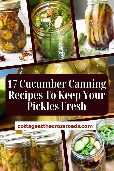 17 cucumber canning recipes to keep your pickles fresh pinterest image. Cucumber Canning Ideas, Canning Recipes With Cucumbers, Canned Sweet Pickles Recipe, Cucumber Salsa Canning Recipe, Canning Cucumber Salad, Canning Recipes For Cucumbers, Picked Cucumbers Recipe, Pickles Canning Recipes, Cucumber Recipes Canning