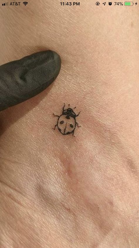 Ladybug Tattoo Stick And Poke, Immunity Tattoo, Ladybug Tattoo Wings Open, Tiny Tats Simple, Realistic Ladybug Tattoo Black And White, Ladybug Tattoo Linework, Lady Bug Fine Line Tattoos, Lady Bug Tat, Fineline Ladybug Tattoo