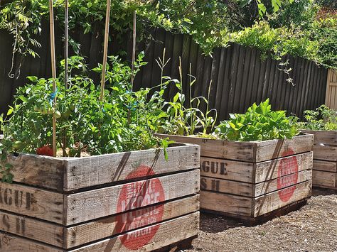 Little Veggie Crates  by Little Veggie Patch Co, via Flickr Raised Vegetable Planter, Raised Vegetable Gardens, Vegetable Boxes, Veg Patch, Vegetable Crates, Vegetable Planters, Apple Crates, Veggie Patch, Areas Verdes