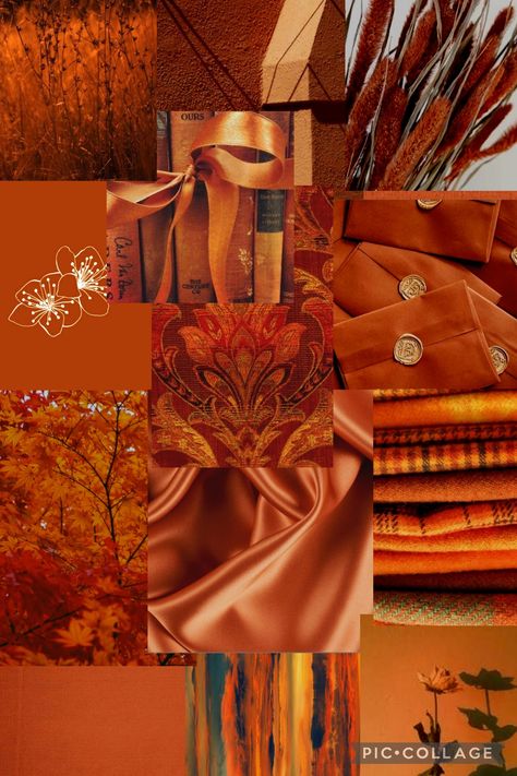 Orange Mood Board Aesthetic, Orange Dark Academia, Burnt Orange Aesthetic Wallpaper, Wallpaper Naranja, Wallpaper Borders For Bathrooms, Burnt Orange Aesthetic, Burnt Orange Wallpaper, Orange Widget, Orange Aesthetics