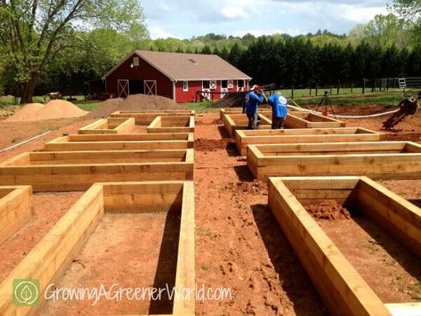 Vegetable Garden Design, Raised Bed Frame, Indoor Vegetables, Building Raised Garden Beds, Vegetable Garden Raised Beds, Building A Raised Garden, Indoor Vegetable Gardening, Survival Gardening, Raised Bed