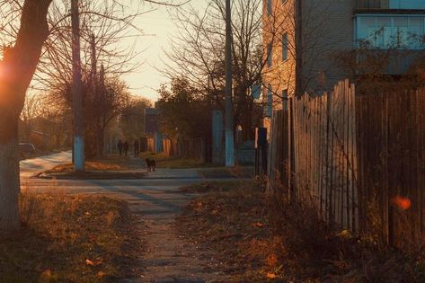 Person Walking, Midwest Emo, Cinematic Photography, The Grove, Autumn Aesthetic, Gravity Falls, Aesthetic Photo, Fall Vibes, Small Towns