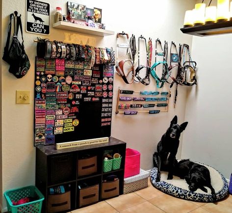 Pet Room Organization, Dog Room Storage Ideas, Service Dog Organization, Dog Things Organization, Dog Closet Organization, Dog Room Set Up, Organizing Dog Stuff, Service Dog Gear Organization, Dog Training Room Ideas