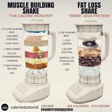 Shake It Up, Nutrition Sportive, Detox Drinks Recipes, Muscle Gain, Banana Chocolate Chip, Shake Recipes, Muscle Building, Detox Smoothie, Detox Diet