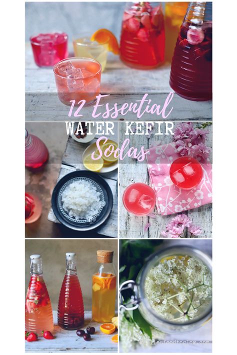 12 summer-kissed, fruity water kefir soda recipes to see you through the hottest days. Easy and adaptable. Fizzy and fun. #kefir #drinks #recipe #nondairy #guthealth #probiotic Keifer Water Recipes, Water Keifer Recipes, Water Kefir Soda, Water Kefir Flavors, Probiotic Soda Recipe, Kiefer Recipes, Water Keifer, Water Kefir Recipes, Kefir Flavors