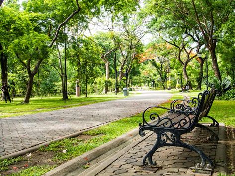 Top 20 of the most beautiful parks in London - GlobalGrasshopper Green Park London, London Park Aesthetic, Green Park Aesthetic, City Park Aesthetic, Park Reference, Beautiful Places In London, Aesthetic Park, London Parks, Park Background