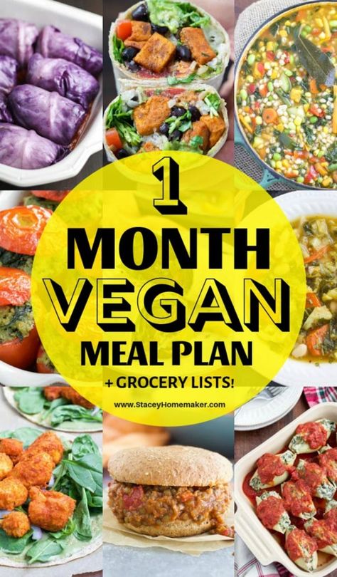 This guide will help you through your first full month as a vegan! It contains a healthy vegan grocery list for beginners, a 1-month meal plan + printable grocery lists, and tons of delicious recipes! Vegan For Beginners Meals, Meal Plan Vegan, Vegetarian Grocery List For Beginners, Vegan Meal Plans For Beginners, Basic Vegan Meals, Vegan Beginner Meals, Going Vegan For Beginners, Vegan Meal Plan, Vegan Daily Meal Plan