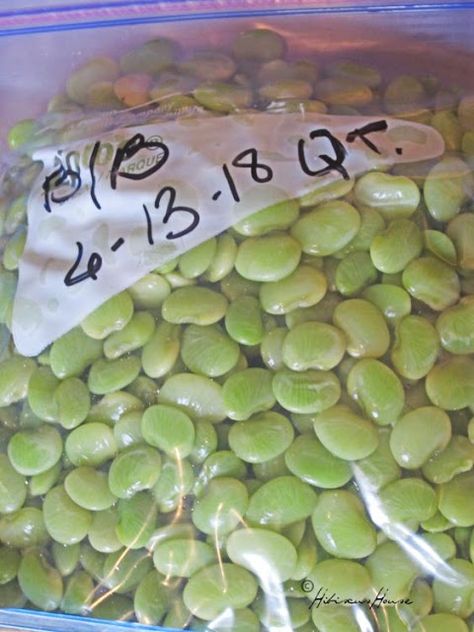 How To Freeze Fresh Lima Beans, How To Freeze Lima Beans, Canning Fresh Lima Beans, How To Cook Fresh Butter Beans, Freezing Lima Beans, How To Cook Butter Beans, Fresh Butter Beans Recipe, Frozen Butter Beans Recipe, Vegetable Freezing