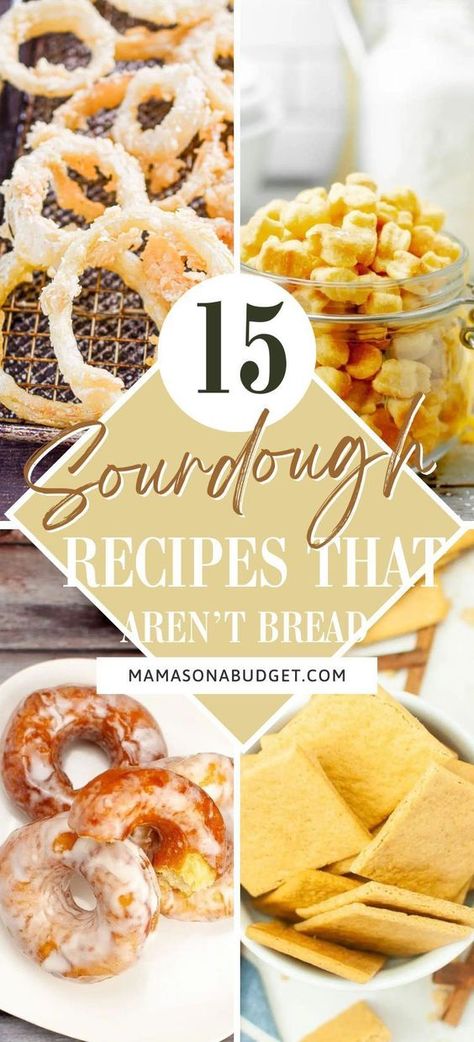 These delicious recipes are an excellent way to use your sourdough starter! You will love these recipes! What To Make With My Sourdough Starter, Sourdough Starter Recipes Not Bread, Sourdough Recipes Using Starter, Starter Sourdough Recipe, Sourdough Recipe Ideas, Sourdough Same Day Recipe, Things To Make With Sourdough Starter, Sourdough Sparrow, How To Make Sourdough Starter