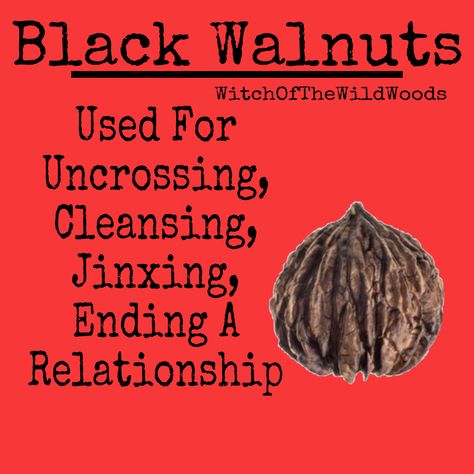 WitchOfTheWildWoods Black Walnut Spiritual Bath, Kitchen Witchcraft, Hearth Witch, Flower Symbolism, Winter Solstice Celebration, Magical Gifts, Solstice Celebration, Magickal Herbs, Occult Science