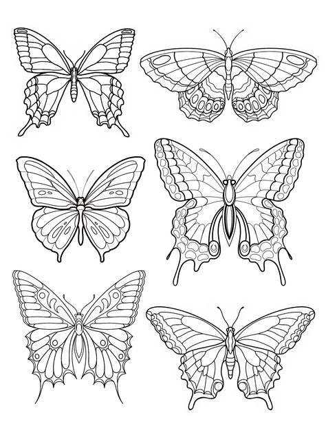 Butterfly Simple Outline, Single Line Butterfly Drawing, Stencil Butterfly Tattoo, Line Drawings Of Butterflies, Butterfly Drawing Pattern, Butterfly Illustration Simple, Half Butterfly Drawing, Butterflies To Draw, Butterfly Outline Printable