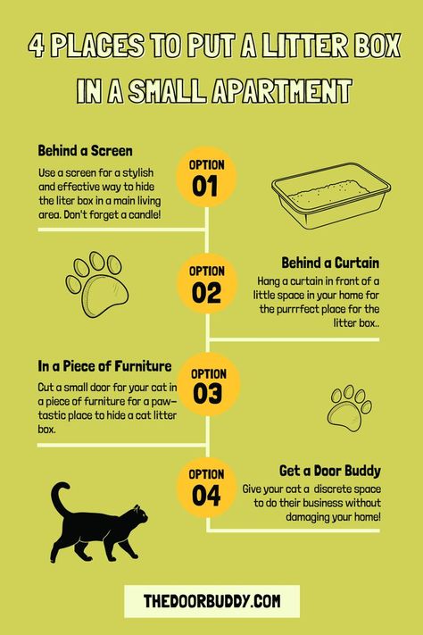 Aesthetic Cat Litter, Box Apartment, Apartment Pet, Best Cat Litter, Cat Proofing, Home Cat, Aesthetic Cat, Cat Care Tips, Small Doors