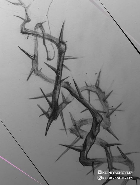 Thorny Vines Drawing, How To Draw Thorns, Thorn Reference, Thorn Crown Drawing, Thorn Tattoo Design, Crown Of Thorns Drawing, Thorns Tattoo Design, Thorn Vine Tattoo, Thorns Drawing