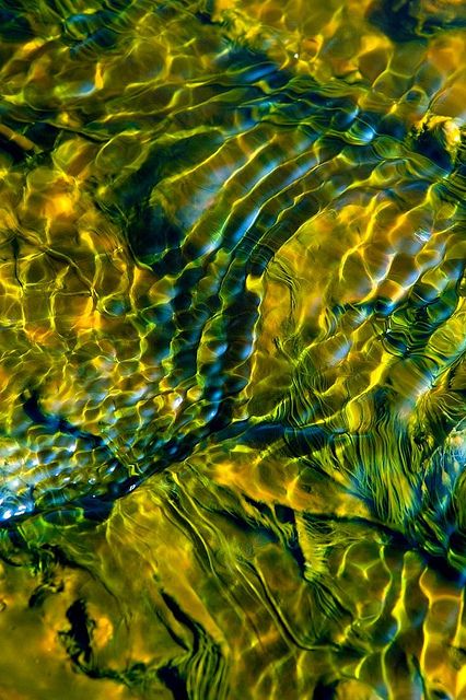 I must have taken hundreds of shots of the patterns made in the streams and runoff of the thermal features while I was in Yellowstone! I loved how the blue sky (which I didn't see very much of!) made those blue glints across this image. Looks Rihanna, Water Reflections, Water Art, Patterns In Nature, Pics Art, Color Textures, Green Aesthetic, Textures Patterns, Shades Of Green