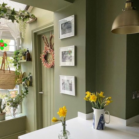 Little Greene on Instagram: “‘Sage Green’ was one of the colours enjoyed by the Victorians ‘on account of their repose to the sight and their solid and quiet tone.’…” Kitchen Renovation Inspiration, 1930s House, Pendant Ceiling Light, Little Greene, Kitchen Renovation, Corner Bookcase, Ceiling Pendant Lights, Ceiling Light, Sage Green